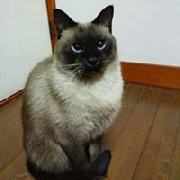 Nobuoさん