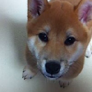 RIKI♪さん
