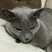 けんたろさん