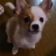 レオさん