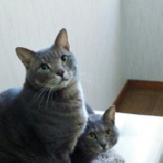 やまとさん