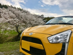 トゥーゲントさん