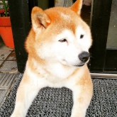 ひらけさん