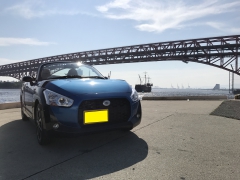 月うさぎさん