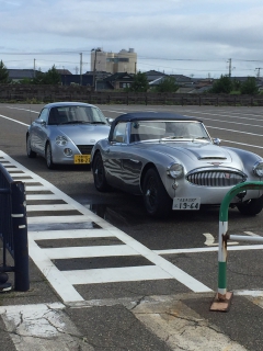 スギさん